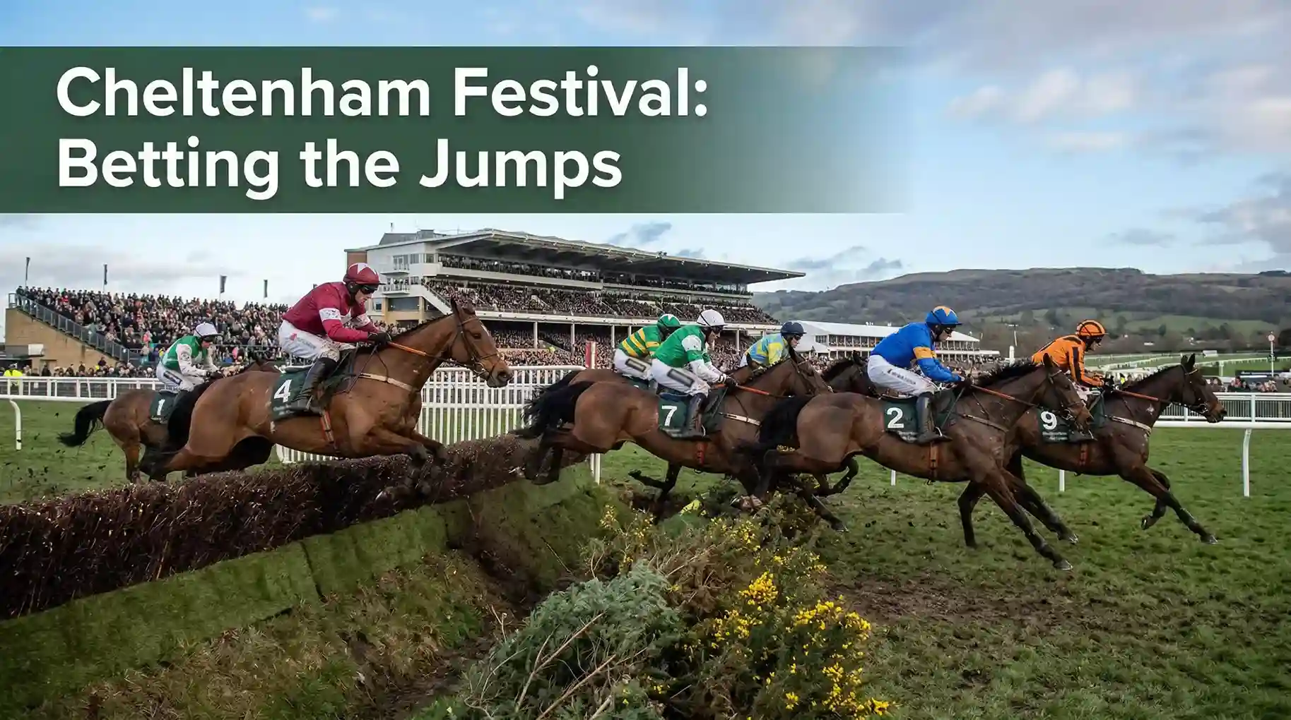 Cheltenham Festival jump racing field at the last fence