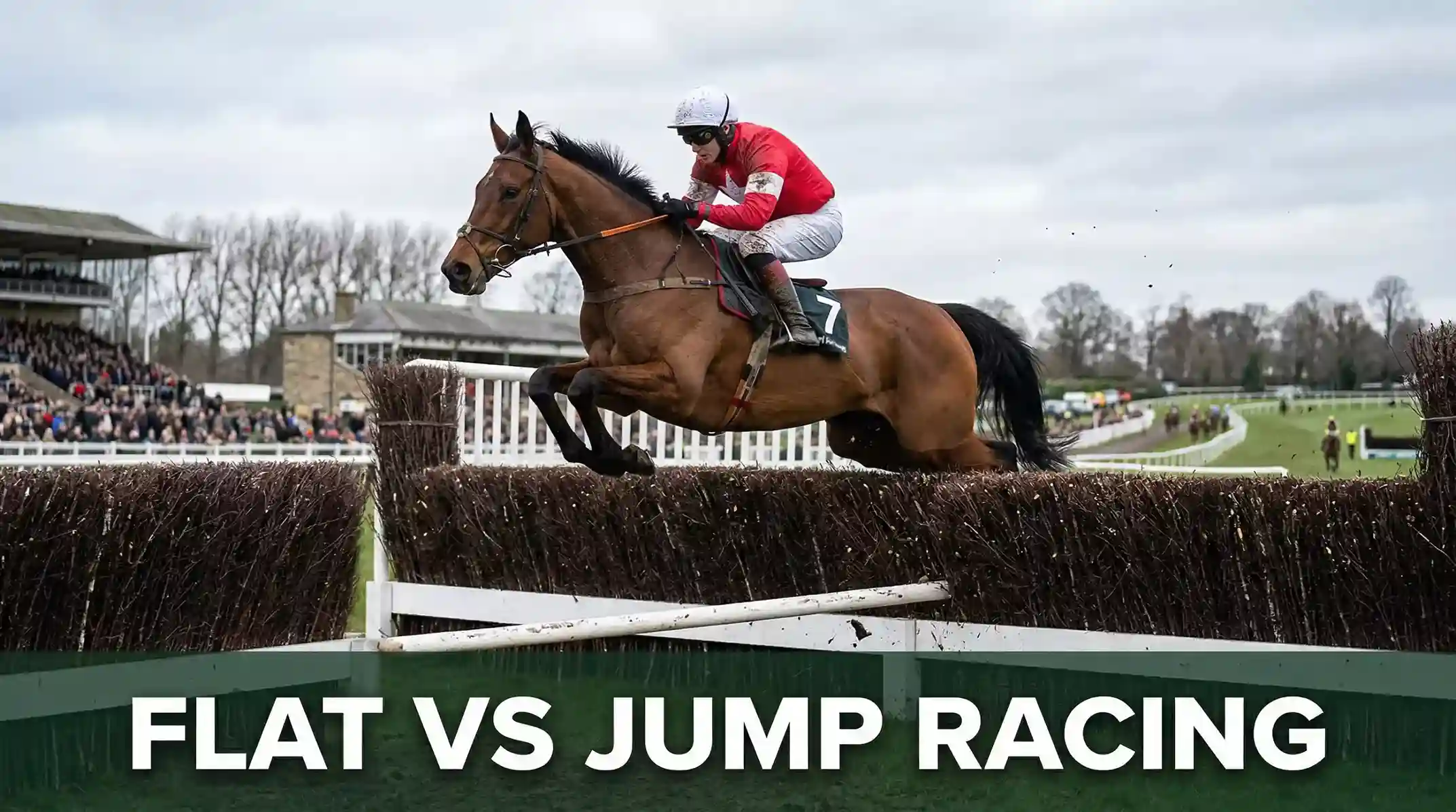 Racehorse and jockey clearing a birch fence at a British National Hunt racecourse